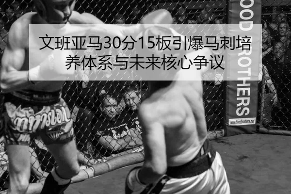 wen-ban-ya-ma-fen-ban-yin-bao-ma-ci-pei-yang-ti-xi-yu-wei-lai-he-xin-zheng-yi-2-587.jpg